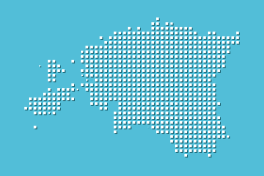 UX / UI: Erakonna Eesti 200 veebilehe visioon